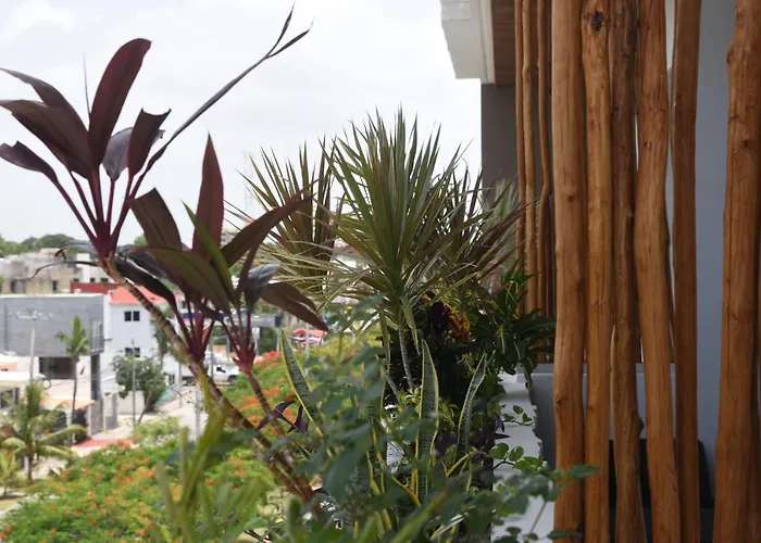 Calle 38 * Playa del Carmen